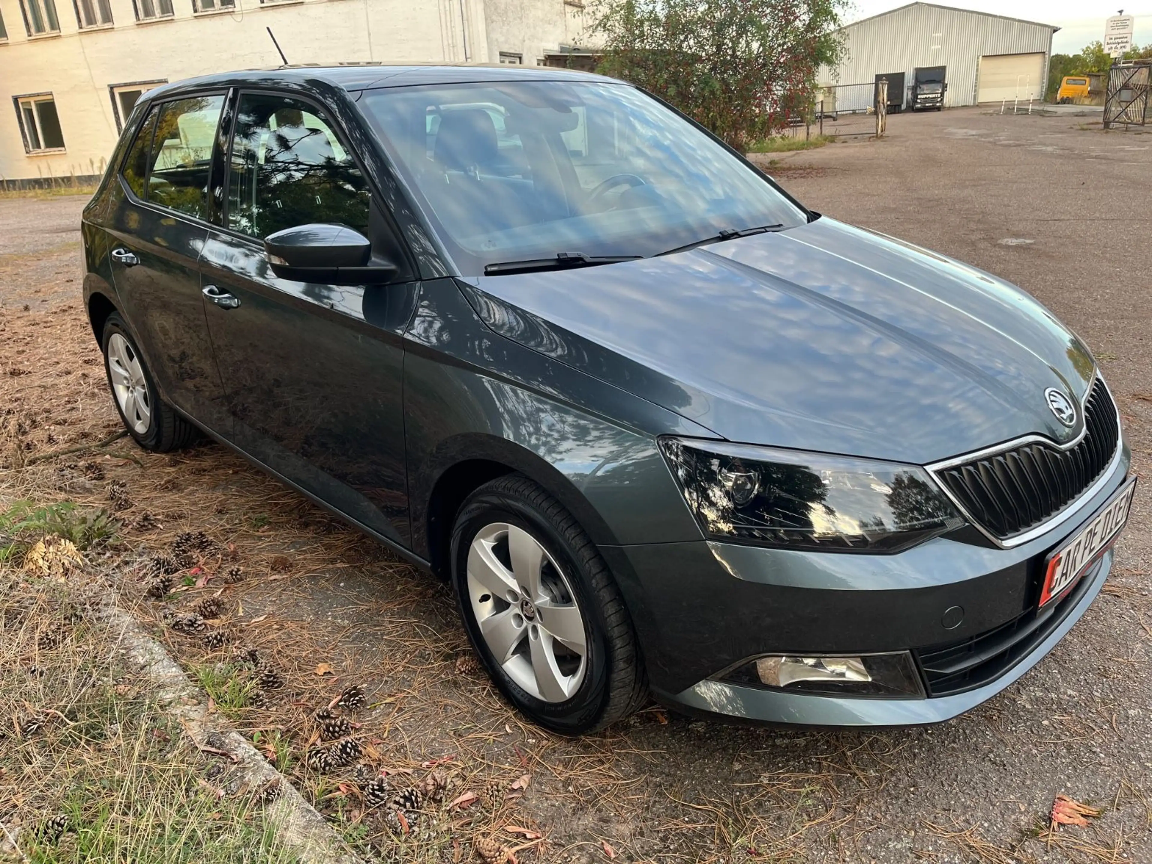 Skoda Fabia Style/Klima/PDC — photo 4