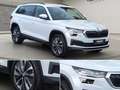 Skoda Kodiaq 2.0TSI DSG Tour 4x4 ACC Navi Spurhalte Weiß - thumbnail 6