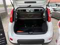Fiat Panda 0.9 t.air t.85cv 4x4 *AUTOVETTURA*KM 60.160 Bianco - thumbnail 14