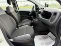 Fiat Panda 0.9 t.air t.85cv 4x4 *AUTOVETTURA*KM 60.160 Bianco - thumbnail 15