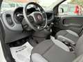 Fiat Panda 0.9 t.air t.85cv 4x4 *AUTOVETTURA*KM 60.160 Bianco - thumbnail 9