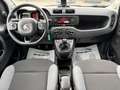 Fiat Panda 0.9 t.air t.85cv 4x4 *AUTOVETTURA*KM 60.160 Bianco - thumbnail 12