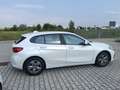 BMW 116 Serie 1  benzina  5p. Bianco - thumbnail 3