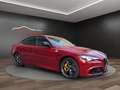Alfa Romeo Giulia Giulia 2016 2.9 t V6 Quadrifoglio 510cv auto my19 Rosso - thumbnail 8