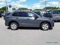 Volkswagen Tiguan 2.0 TDI DSG 4M R-Line PANO AHK KAM LED-HD Grau - thumbnail 6