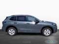 Volkswagen Tiguan 2.0 TDI DSG 4M R-Line PANO AHK KAM LED-HD Grau - thumbnail 2