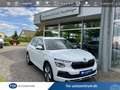 Skoda Kamiq 1.0 TSI DSG Selection AHK RFK LED NAVI Weiß - thumbnail 1