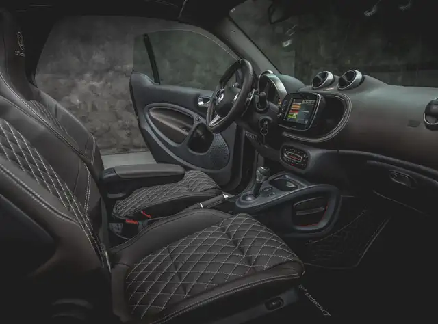Smart Fortwo view 12