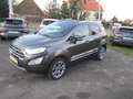 Ford EcoSport Titanium / Teilleder / AHK / Garantie . . . Grau - thumbnail 3