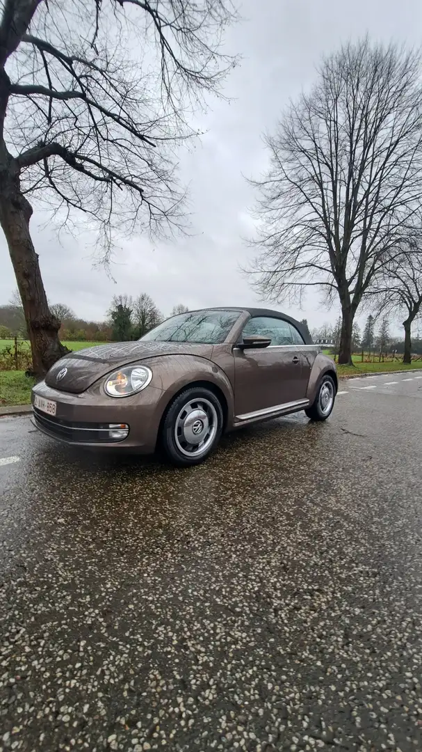 Volkswagen Beetle The Cabriolet 1.6 TDI DSG BlueMotion Techn. iBeetl - 1