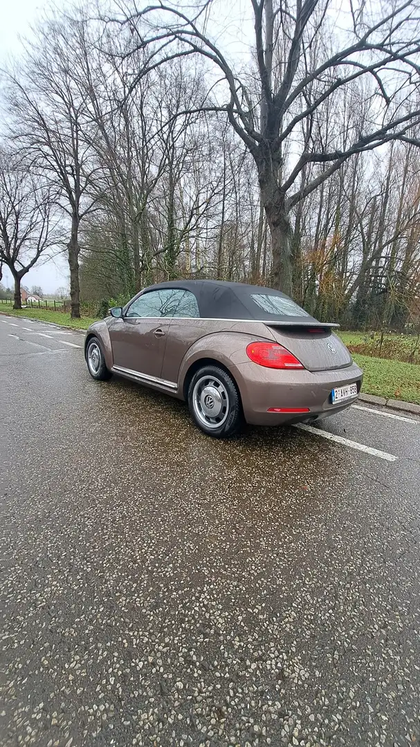 Volkswagen Beetle The Cabriolet 1.6 TDI DSG BlueMotion Techn. iBeetl - 2