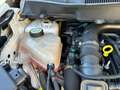 Ford B-Max 1.0 ecoboost Business Titanium 100cv Bianco - thumbnail 14