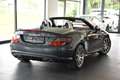 Mercedes-Benz SLK 55 AMG SLK 55 AMG"DRIVER´S PACKAGE"MERCEDESGEPFLEGT" Grau - thumbnail 3