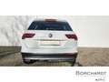 Volkswagen Tiguan Highline BMT TDI 2.0 Pano AHK ab. Navi ACC 3-Zonen Blanc - thumbnail 7