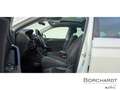 Volkswagen Tiguan Highline BMT TDI 2.0 Pano AHK ab. Navi ACC 3-Zonen Blanc - thumbnail 12