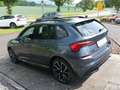 Skoda Kamiq Monte Carlo, AHK, Business, LED Grau - thumbnail 3