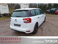 Citroen C4 Grand Picasso 1.2 PureTech 130 Live Klima PDC Weiß - thumbnail 4