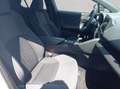 Toyota C-HR 2.0 Plug-in-Hybrid Teamplayer, Technik-Paket Weiß - thumbnail 17