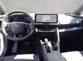 Toyota C-HR 2.0 Plug-in-Hybrid Teamplayer, Technik-Paket Weiß - thumbnail 12