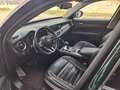 Alfa Romeo Stelvio Stelvio 2020 2.2 t Vel First Edition Q4 210cv auto Grün - thumbnail 8