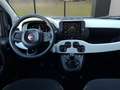 Fiat Sonstige Pandina FireFly Hybrid 65 Cross Weiß - thumbnail 7