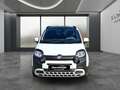 Fiat Sonstige Pandina FireFly Hybrid 65 Cross Weiß - thumbnail 3