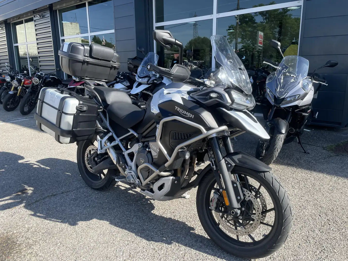 Triumph Tiger 1200 Blanc - 2