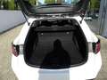 Toyota Corolla TS Hybrid Business Edition Navi Weiß - thumbnail 10