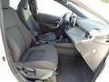 Toyota Corolla TS Hybrid Business Edition Navi Weiß - thumbnail 6