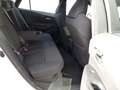 Toyota Corolla TS Hybrid Business Edition Navi Weiß - thumbnail 7