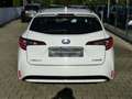 Toyota Corolla TS Hybrid Business Edition Navi Weiß - thumbnail 4