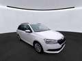 Skoda Fabia Combi 1.0 TSI ACTIVE KLIMA DAB BLUETOOTH Weiß - thumbnail 1