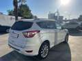 Ford Kuga Kuga 2.0 tdci 150cv 4wd Powershift Vignale,Km Cert Wit - thumbnail 8