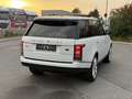 Land Rover Range Rover Autobiography*110% VOLL*4,4*V8* Weiß - thumbnail 8