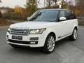 Land Rover Range Rover Autobiography*110% VOLL*4,4*V8* Weiß - thumbnail 3