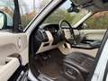 Land Rover Range Rover Autobiography*110% VOLL*4,4*V8* Weiß - thumbnail 29