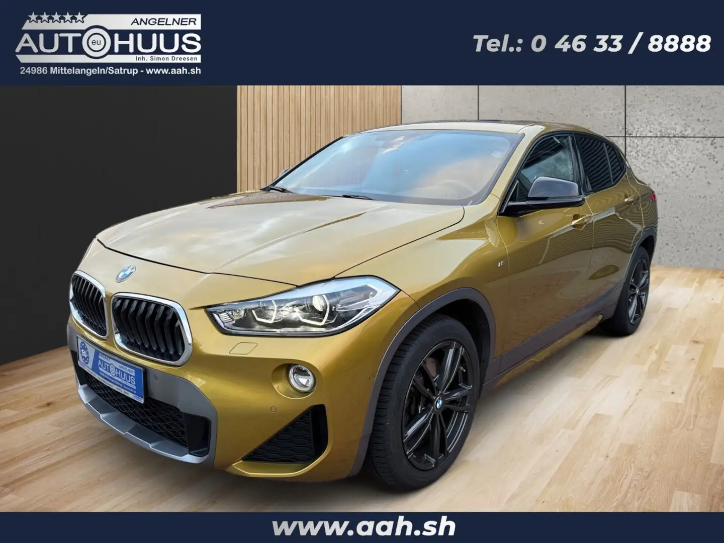 BMW X2 XDrive 20d M Sport X Steptronic Unfallfrei Klima - 1