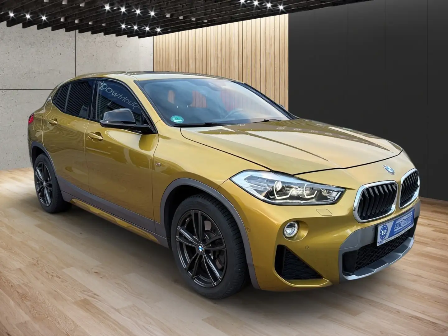 BMW X2 XDrive 20d M Sport X Steptronic Unfallfrei Klima - 2