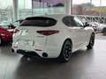Alfa Romeo Stelvio 2.2 t Veloce Q4 210cv auto Blanc - thumbnail 5