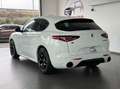 Alfa Romeo Stelvio 2.2 t Veloce Q4 210cv auto Blanc - thumbnail 7