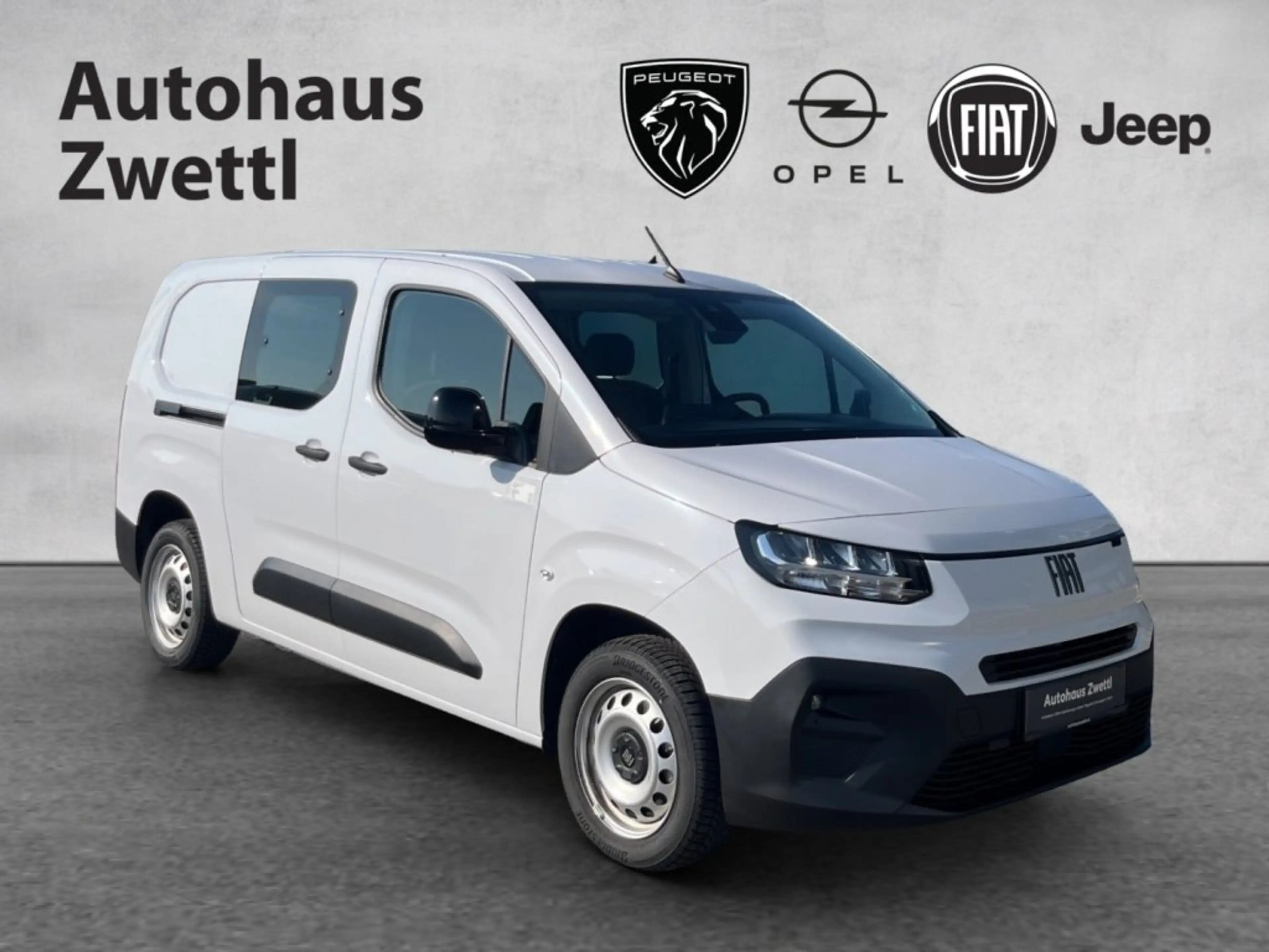 Fiat Doblo DoKa L2 BHDI 100 variable Trennwand — photo 8