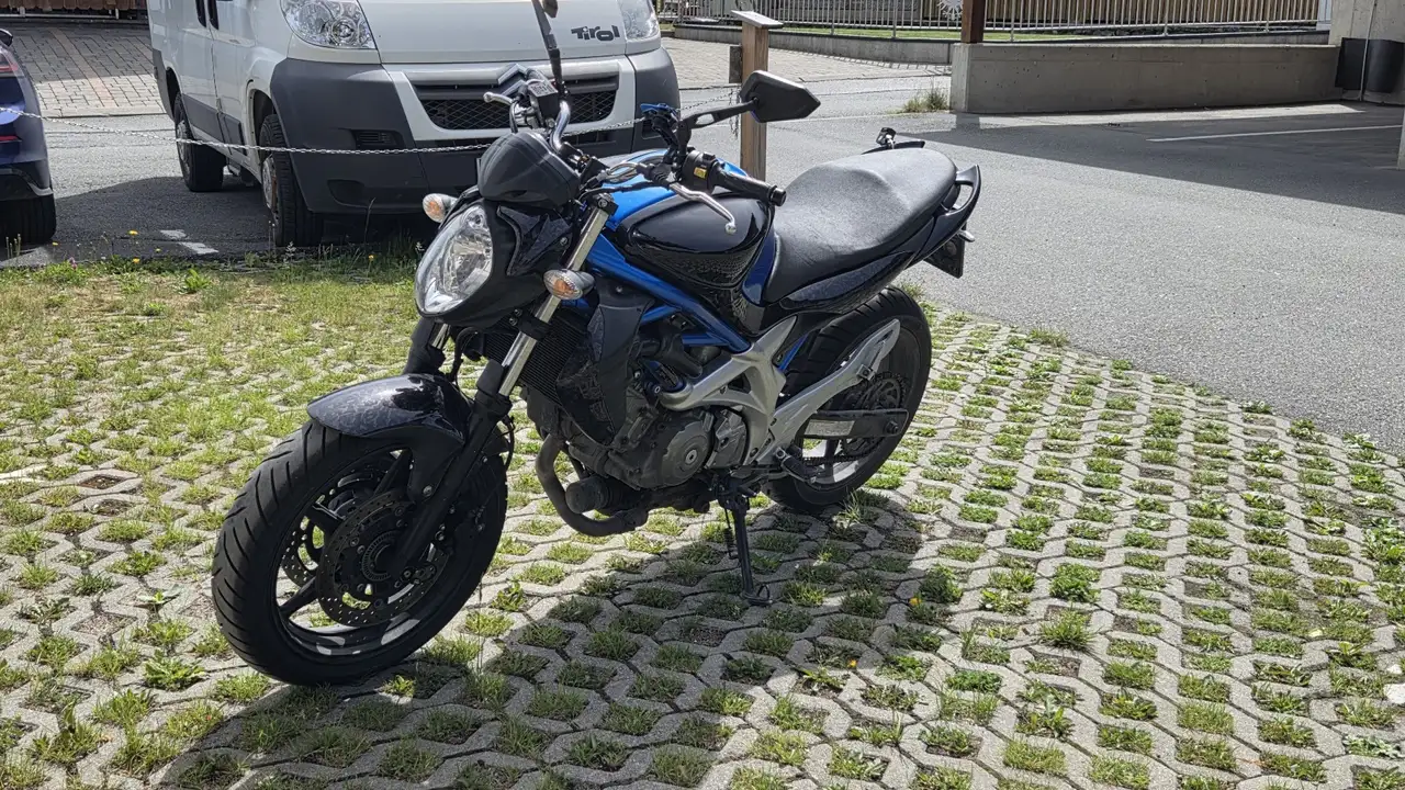 Suzuki Gladius 650