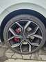 Volkswagen Polo GTI Polo 2.0 TSI DSG GTI Weiß - thumbnail 4