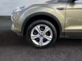 Ford Kuga Trend/KLIMA/4X4/AHK/XENON/EURO.6/TEMPOMAT/ Grün - thumbnail 9