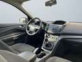 Ford Kuga Trend/KLIMA/4X4/AHK/XENON/EURO.6/TEMPOMAT/ Grün - thumbnail 13