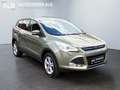 Ford Kuga Trend/KLIMA/4X4/AHK/XENON/EURO.6/TEMPOMAT/ Grün - thumbnail 7