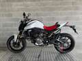 Ducati Monster 937 +. CAMPAGNA PROVA RISCATTA O RENDI. Bianco - thumbnail 4