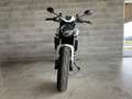 Ducati Monster 937 +. CAMPAGNA PROVA RISCATTA O RENDI. Bianco - thumbnail 2