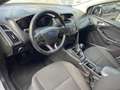 Ford Focus 1.5 TDCi 95 CV Start&Stop Titanium Argento - thumbnail 10