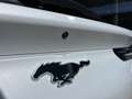 Ford Mustang Mach-E RWD 75 kWh | Camera | Apple Carplay | Dodehoek Her Wit - thumbnail 11